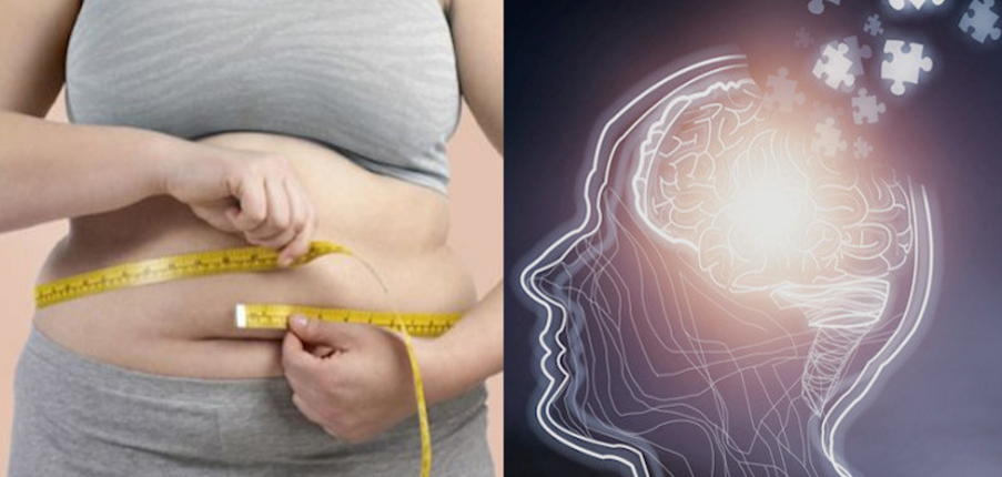 Mối liên hệ giữa béo phì, đái tháo đường và bệnh Alzheimer