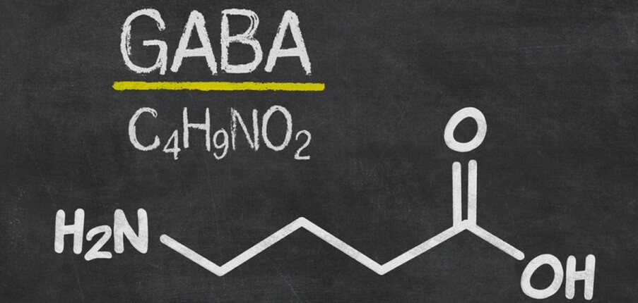GABA: một chất dẫn truyền làm dịu hệ thần kinh