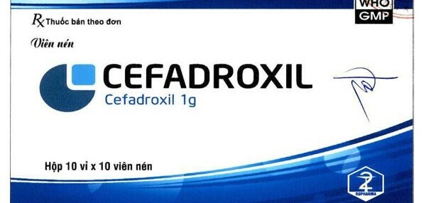 Thuốc Cefadroxil 1g - Điều trị bệnh nhiễm trùng do vi khuẩn - Hộp 10 vỉ x 10 viên - Cách dùng