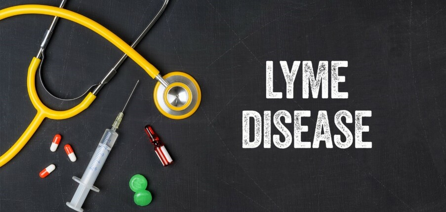 Bệnh Lyme: Triệu chứng, điều trị và phòng ngừa