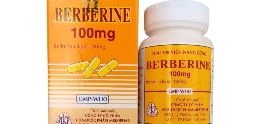 Thuốc Berberin 100mg - Điều trị chứng lỵ và tiêu chảy - Lọ 100 viên - Cách dùng
