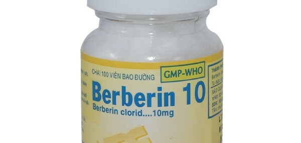 Thuốc Berberin 10mg: Chỉ định, chống chỉ định, tác dụng phụ và lưu ý khi dùng