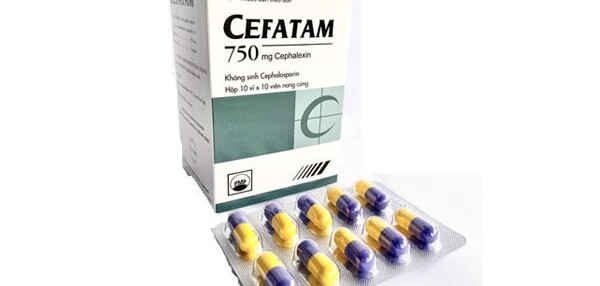 Thuốc Cefatam 750mg - Điều trị các chủng nhiễm khuẩn nhạy cảm - Hộp 10 vỉ x 10 viên - Cách dùng