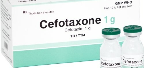 Thuốc bột pha tiêm Cefotaxone 1g - Chống nhiễm khuẩn, kháng virus - Cách dùng