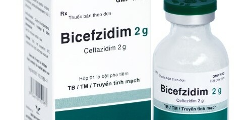 Thuốc Bicefzidim 2g - Điều trị các nhiễm khuẩn của tiết niệu - Cách dùng