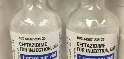 Thuốc kháng sinh Ceftazidime 1g - Điều trị nhiễm khuẩn rất nặng - Cách dùng