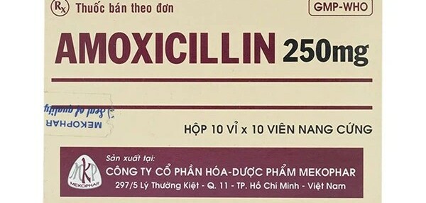 Thuốc kháng sinh Amoxicillin 250mg - Điều trị vi khuẩn - Cách dùng
