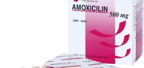 Thuốc Amoxicillin 500mg - Điều trị vi khuẩn - Hộp 10vỉ x 10 viên - Cách dùng