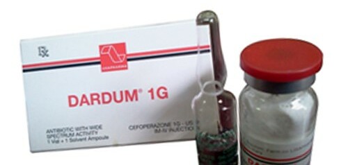 Thuốc Dardum - Điều trị nhiễm khuẩn -  Hộp 1 lọ x 1 ống - Cách dùng