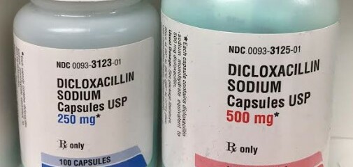 Thuốc Dicloxacillin - Điều trị bệnh nhiễm trùng - Cách dùng