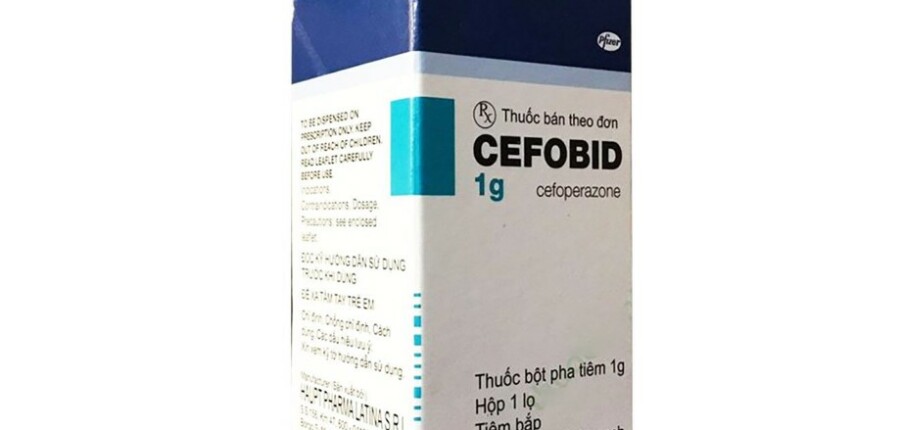 Thuốc Cefobid - Điều trị nhiễm khuẩn - Hộp 1 lọ - Cách dùng
