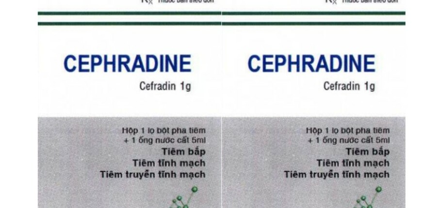 Thuốc Cephradine - Điều trị nhiễm khuẩn - Hộp 1 lọ - Cách dùng
