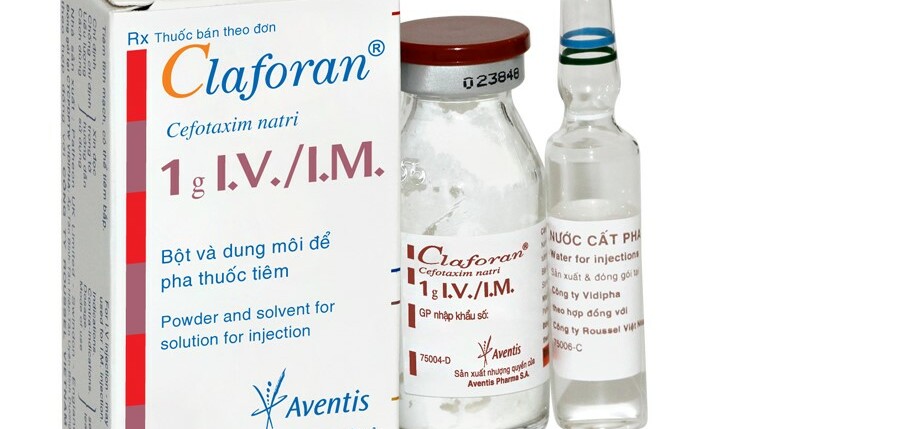 Thuốc Claforan - Điều trị nhiễm khuẩn - Cách dùng
