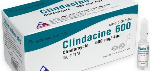 Thuốc Clindacine - Điều trị nhiễm trùng - Hộp 5 ống x 2ml/ 4ml - Cách dùng
