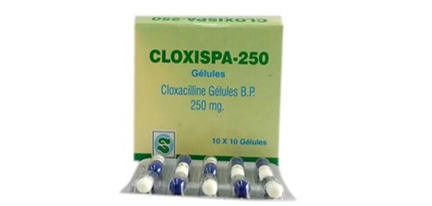 Thuốc Cloxispa - Chống nhiễm khuẩn - 250mg - Cách dùng