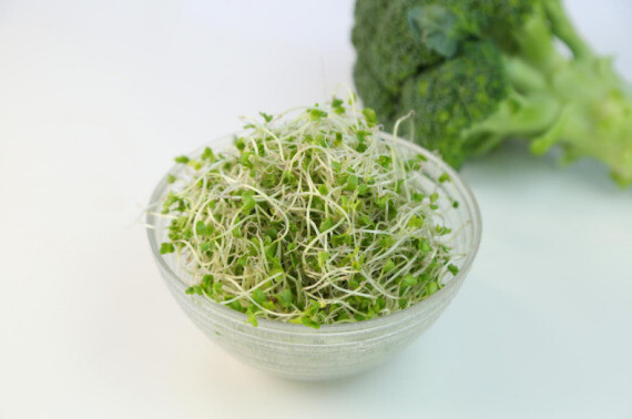 Mầm bông cải xanh có thể làm giảm hoặc ngăn ngừa viêm dạ dày và giảm nguy cơ ung thư dạ dày. Nguồn ảnh: sproutd.co.uk 