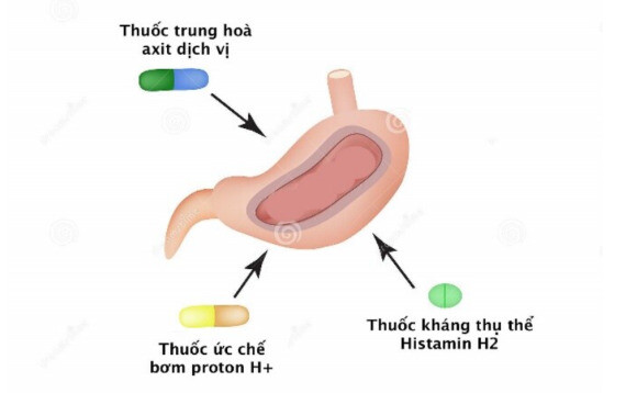 Thuốc điều trị trào ngược axit dạ dày - nguồn: dreamstime 