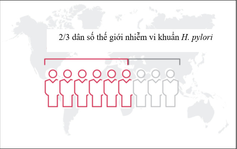Vi khuẩn H. pylori có lây không? Triệu chứng, chẩn đoán và điều trị - Ảnh 1