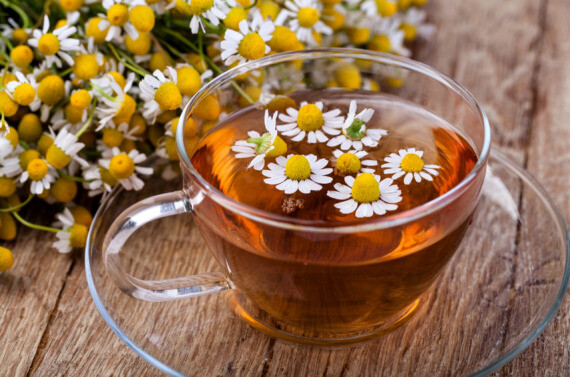 Một số người sử dụng hoa cúc La Mã và trà hoa cúc để điều trị chứng rối loạn lo âu nhẹ, co thắt ruột và viêm. 