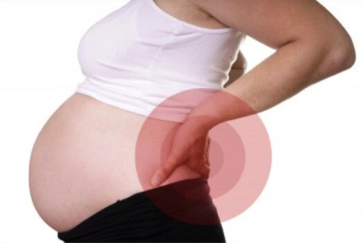 Đau lưng khi mang thai. Nguồn ảnh: familydoctor.org