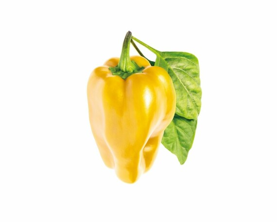 Yellow Sweet Pepper Plant Pods | Click & Grow