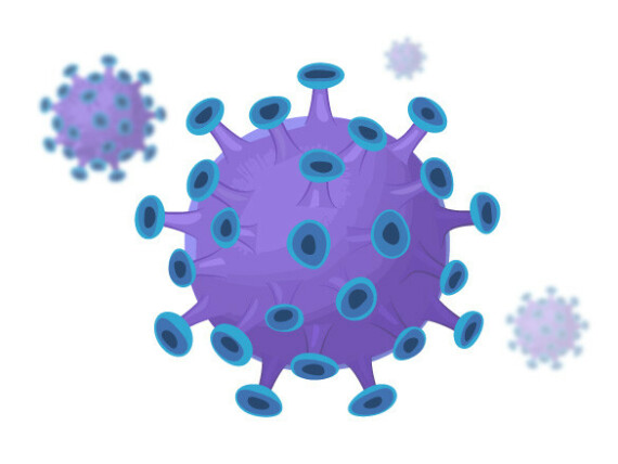 Cấu tạo của virus, nguồn ảnh ck12.org