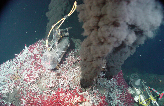 Một số loài vi khuẩn hay sống trong các miệng phun thủy nhiệt ở đại dương, nguồn ảnh oceanservice.noaa.gov