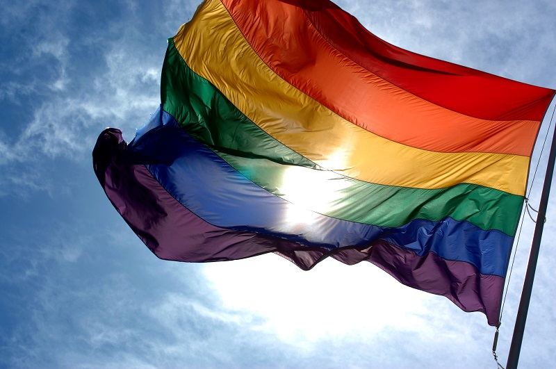 Mấy loại đồng tính nam thuộc về LGBT?
