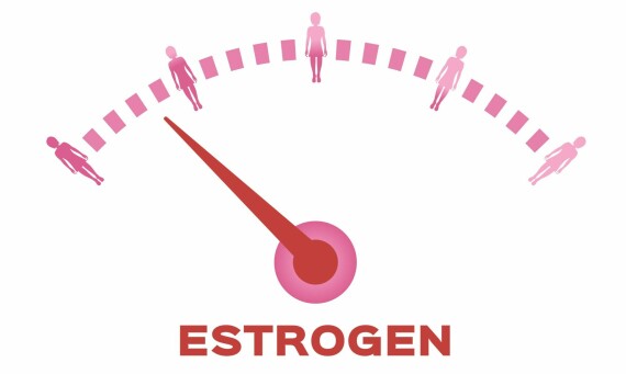 Nồng độ estrogen luôn dao động. Nguồn ảnh: Focal point vitality