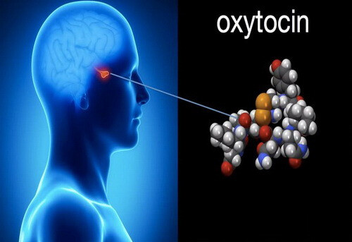 Oxytocin là một phương pháp điều trị khả thi cho chứng sợ xã hội, tự kỷ và trầm cảm sau sinh. Nguồn ảnh: thehealthy.com