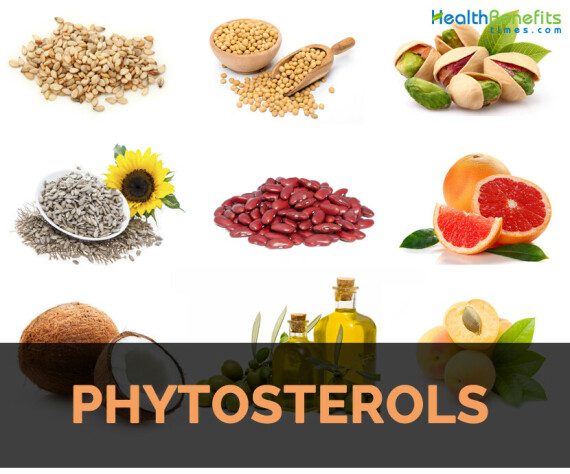 Thực phẩm giàu phytosterol (Nguồn ảnh: Health Benefits Times)