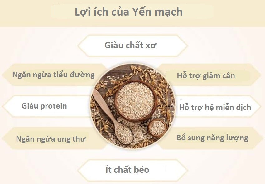 Lợi ích của yến mạch . Nguồn: Lybrate.com