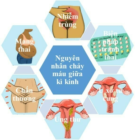 Duy trì lối sống điều độ để phòng bệnh (Nguồn ảnh: Vitadaily)