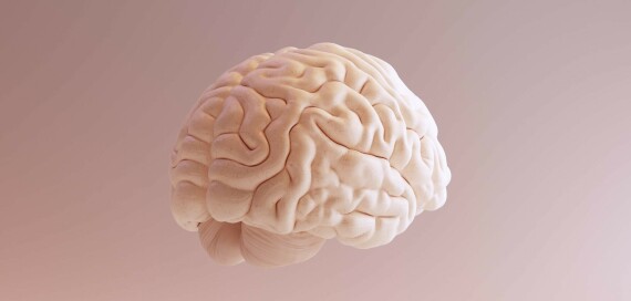 Improve Brain Function with Turmeric Supplements - Leefy Organics