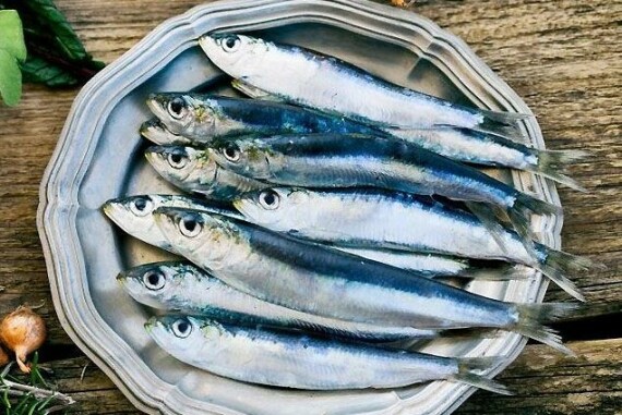 Cá mòi không chỉ giàu vitamin B12 mà còn cung cấp nhiều các chất dinh dưỡng khác. Nguồn ảnh: Proporto.com