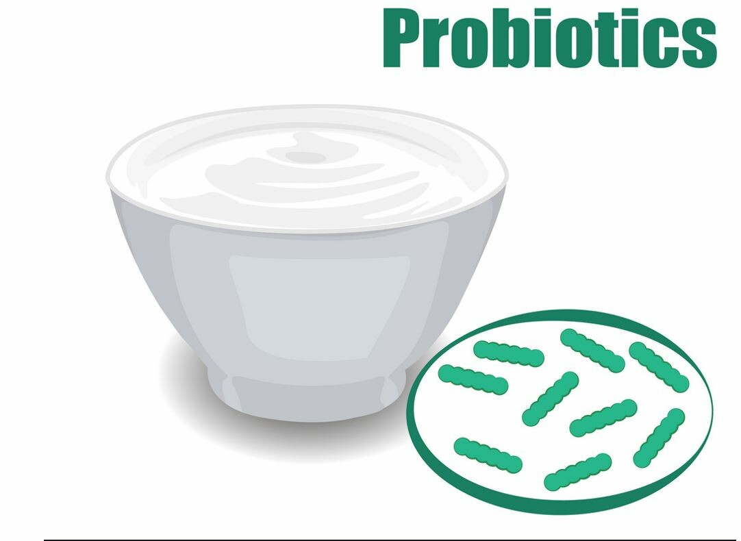 Sữa chua probiotics chứa nhiều lợi khuẩn tốt cho sức khỏe. Nguồn: vectorstock.com