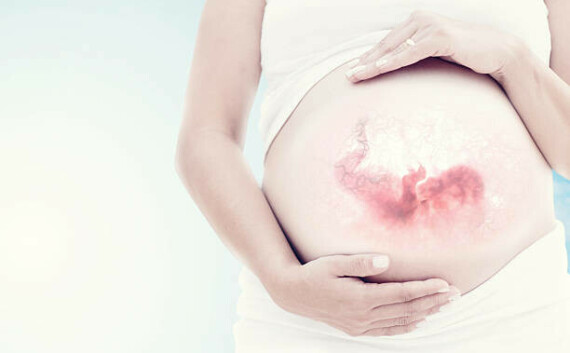 thai nhi trong bụng bầu - thai hình ảnh sẵn có, bức ảnh & hình ảnh trả phí bản quyền một lầnNguồn: iStock