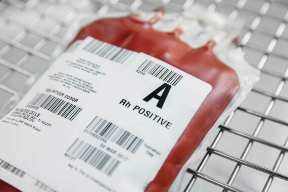 Sự hòa hợp nhóm máu giữa người cho và người nhận là một yếu tố quyết định trong vấn đề truyền máu lâm sàng (nguồn ảnh: https://www.carterbloodcare.org/)