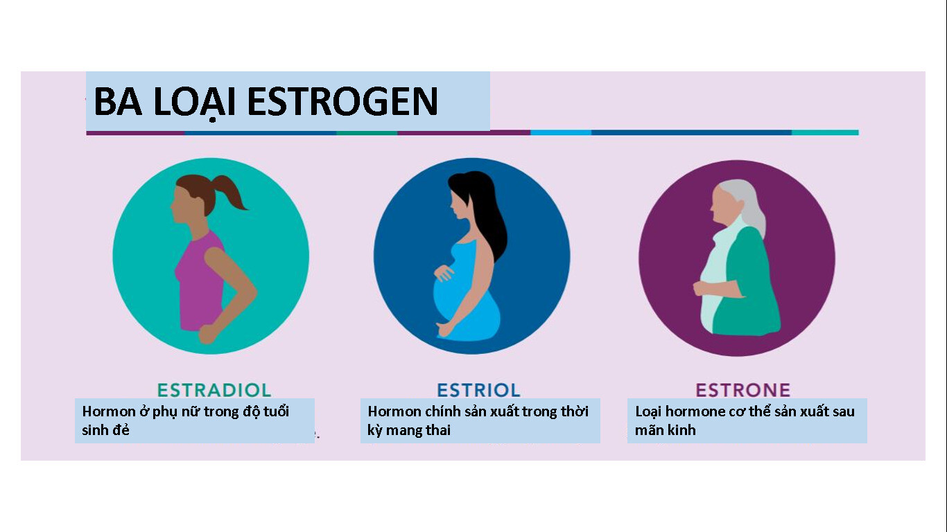 Các loại hormon trong cơ thể. Nguồn ảnh: Hormon Health Network