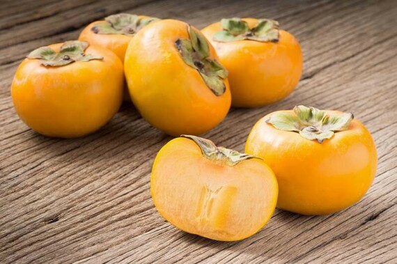 How to Grow American Persimmons | Gardener's Path