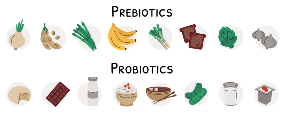 Các thực phẩm giàu Prebiotics và men vi sinh (Nguồn ảnh: https://flore.com)