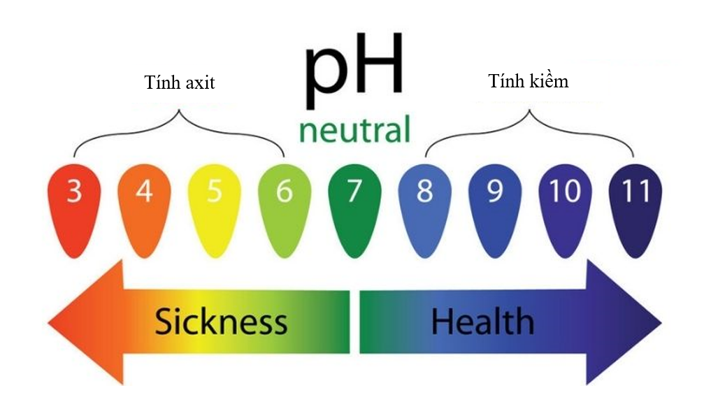 Những điều bạn cần biết về độ pH của nước bọt? - Ảnh 1