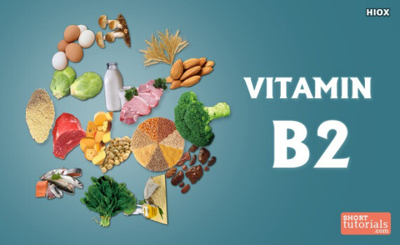 Một số thực phẩm giàu Vitamin B2. Nguồn ảnh: www.shorttutorials.com