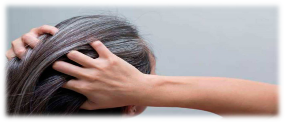 Collagen làm chậm quá trình bạc tóc