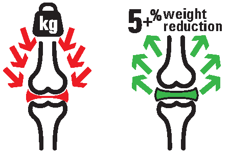 Giảm trọng lượng cơ thể giảm sức ép tới xương khớp ,nguồn https://www.brisbanecityphysiotherapy.com.au