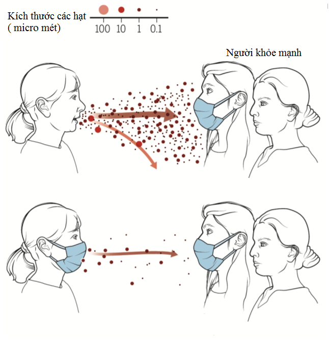 Thí nghiệm của Marr-ảnh explaincovid