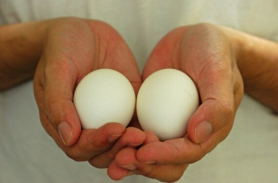 Trong một chu kì kinh nguyệt, bạn có thể có đến hai hoặc nhiều hơn hai lần rụng trứng. Nguồn ảnh: Flickr