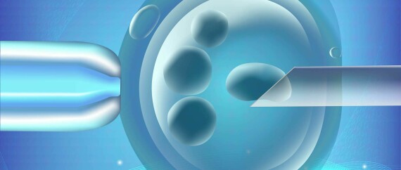 Công nghệ hỗ trợ sinh sản và thụ tinh trong ống nghiệm có thể sàng lọc phôi thai ở giai đoạn đầu để tìm ra và loại bỏ những phôi mang gen đột biến. Nguồn ảnh: inviTRa.com