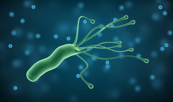 Vi khuẩn H. pylori là nguyên nhân phổ biến gây viêm dạ dày. Nguồn ảnh: Printest.