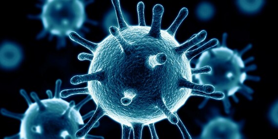 Có khoảng 200 loại virus gây cảm lạnh khác nhau và rhinovirus là nguyên nhân phổ biến nhất. Nguồn ảnh: Sph.umd.edu